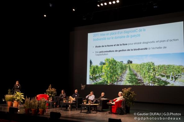 Le vin, ça envoie du bois